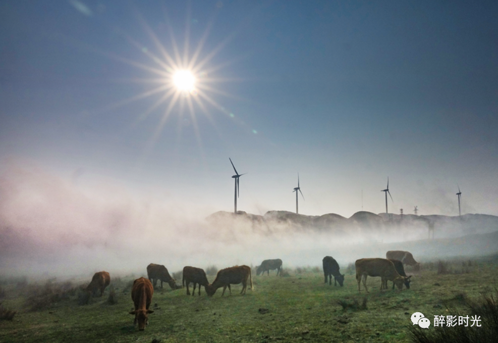 乌蒙大草原_乌蒙大草原讲解词_乌蒙大草原十方