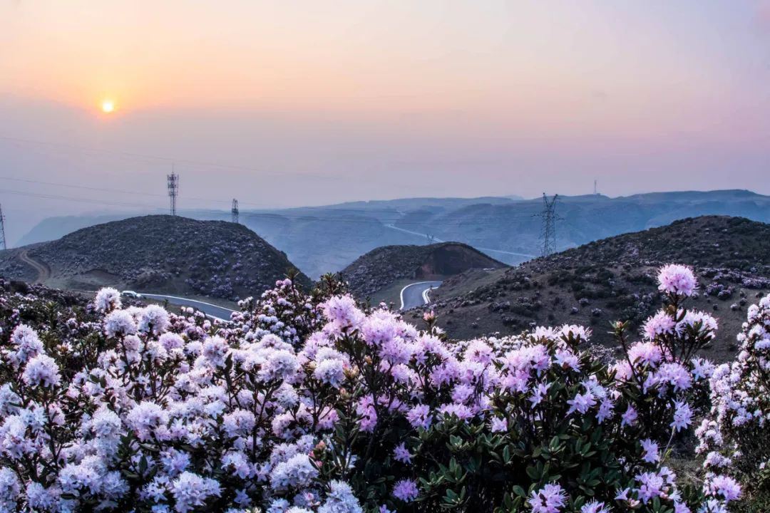 乌蒙大草原_乌蒙大草原讲解词_乌蒙大草原十方