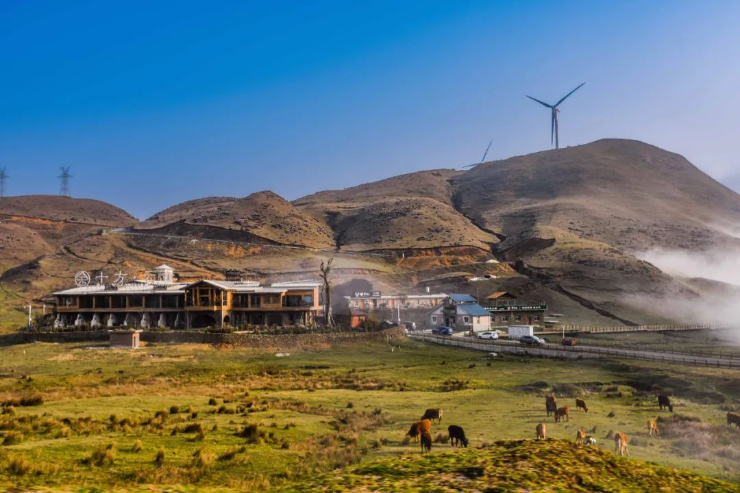 乌蒙大草原_乌蒙大草原十方_乌蒙大草原讲解词