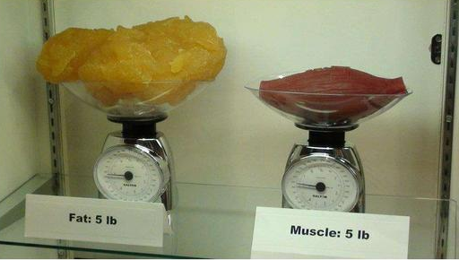 磅换算人民币_磅换算成千克_磅换算千克