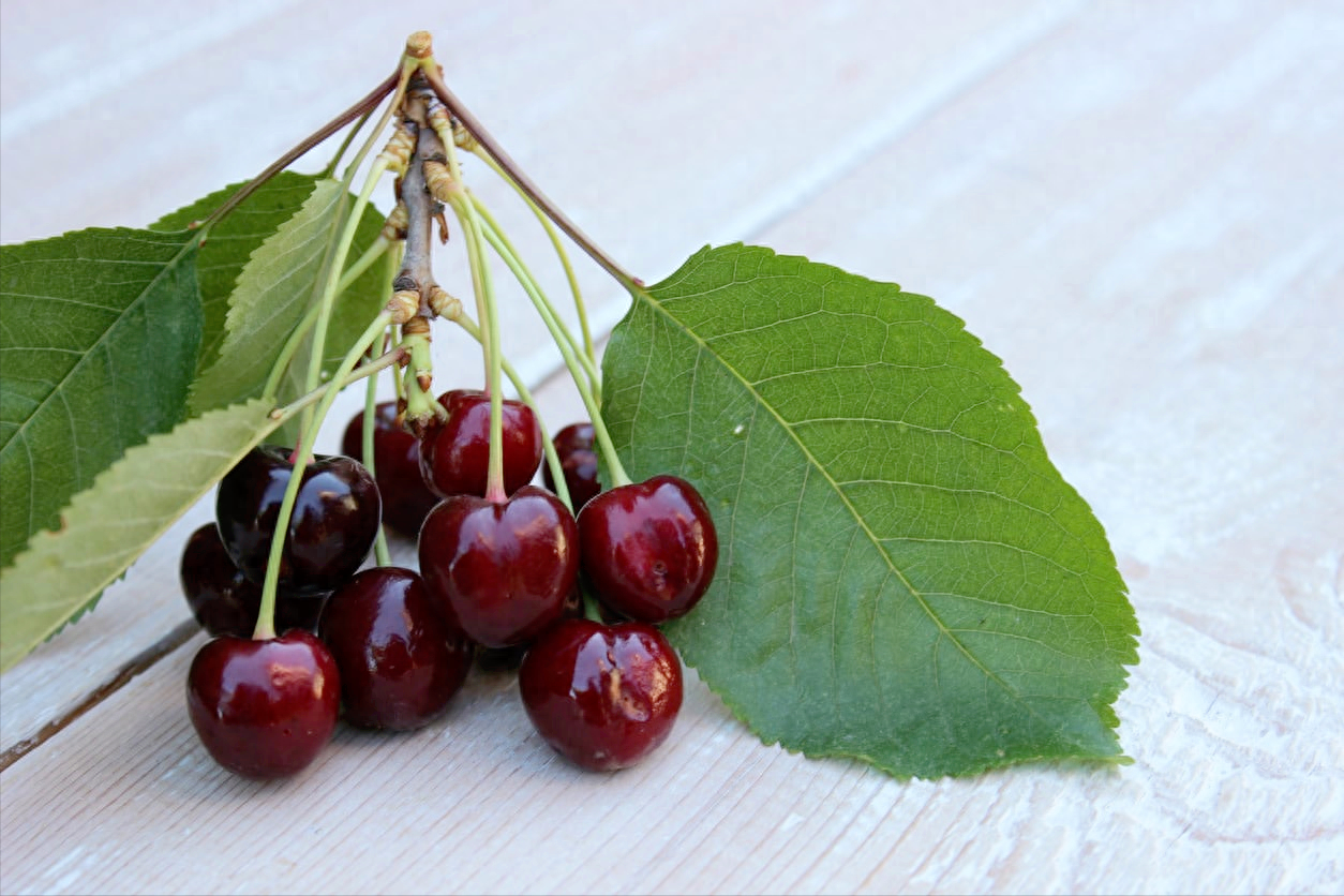 黄樱桃图片_黄樱桃多少钱一斤_黄樱桃