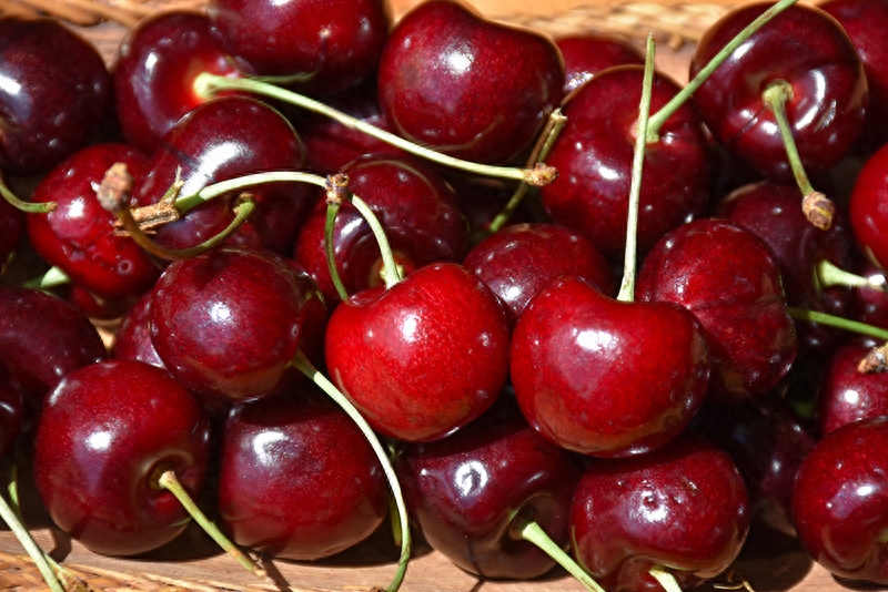 黄樱桃图片_黄樱桃_黄樱桃多少钱一斤