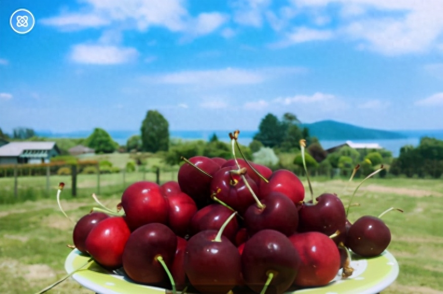 黄樱桃-上市的樱桃品种这么多，今天才知道怎么分酸甜，和大小无关