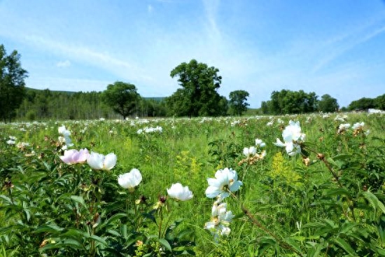 有害生物防制员对身体有害吗_有害生物防制员做什么的_有害生物防制员