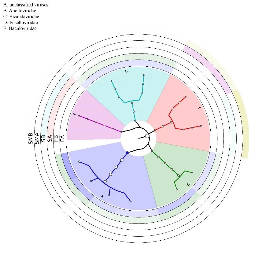 宏病毒怎么删除_清除宏病毒方法_宏病毒怎么清除
