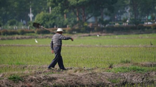 地震最高的是几级_地震级数高低_地震最高级是几级