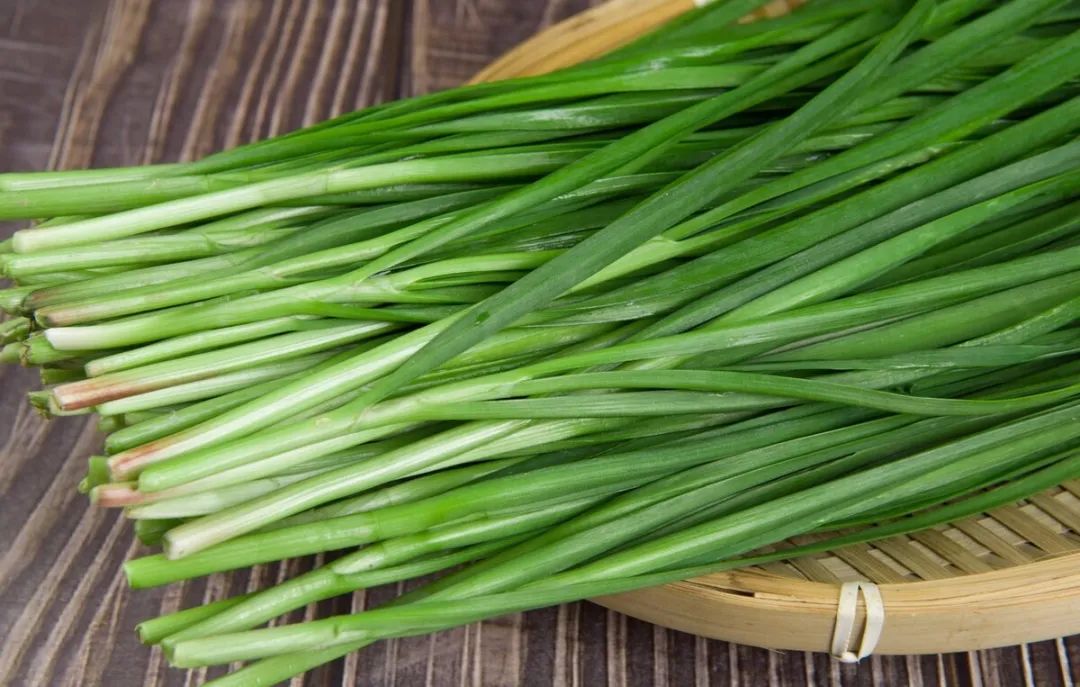 海蛎子是生蚝吗_生蚝海蛎子是一个东西吗_生蚝海蛎子是不是一个品种