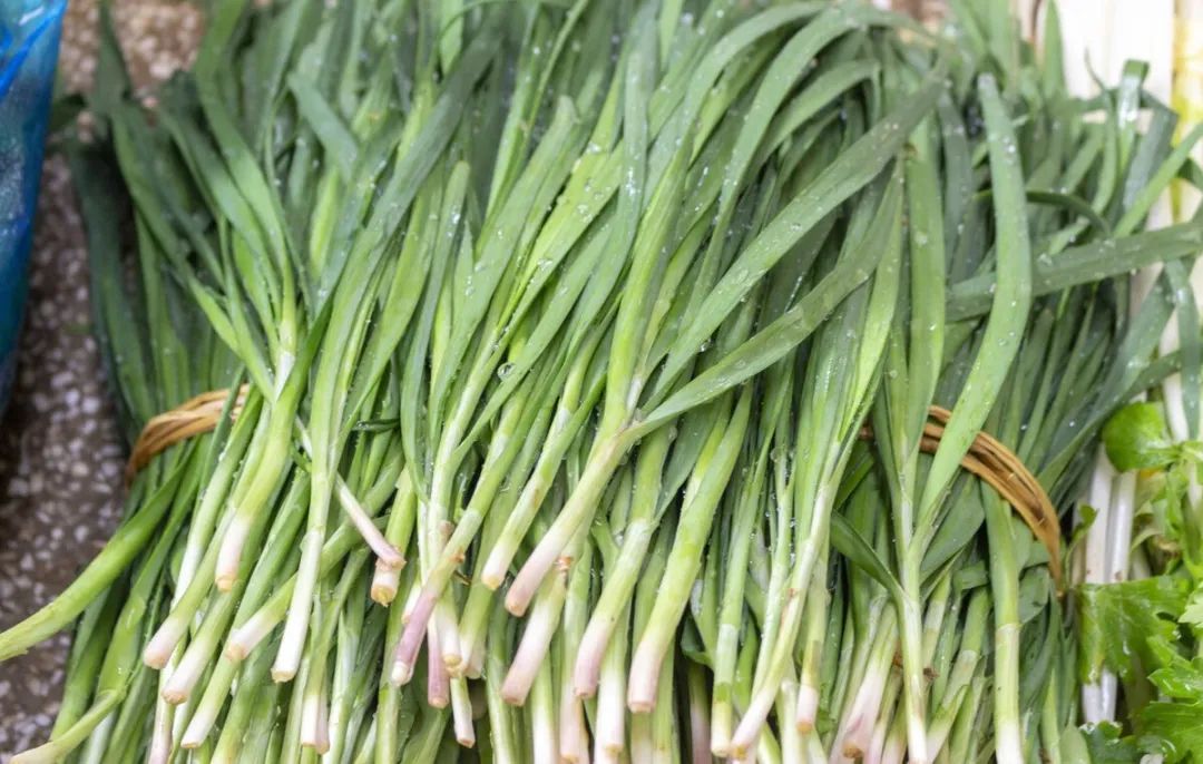 生蚝海蛎子是不是一个品种_海蛎子是生蚝吗_生蚝海蛎子是一个东西吗