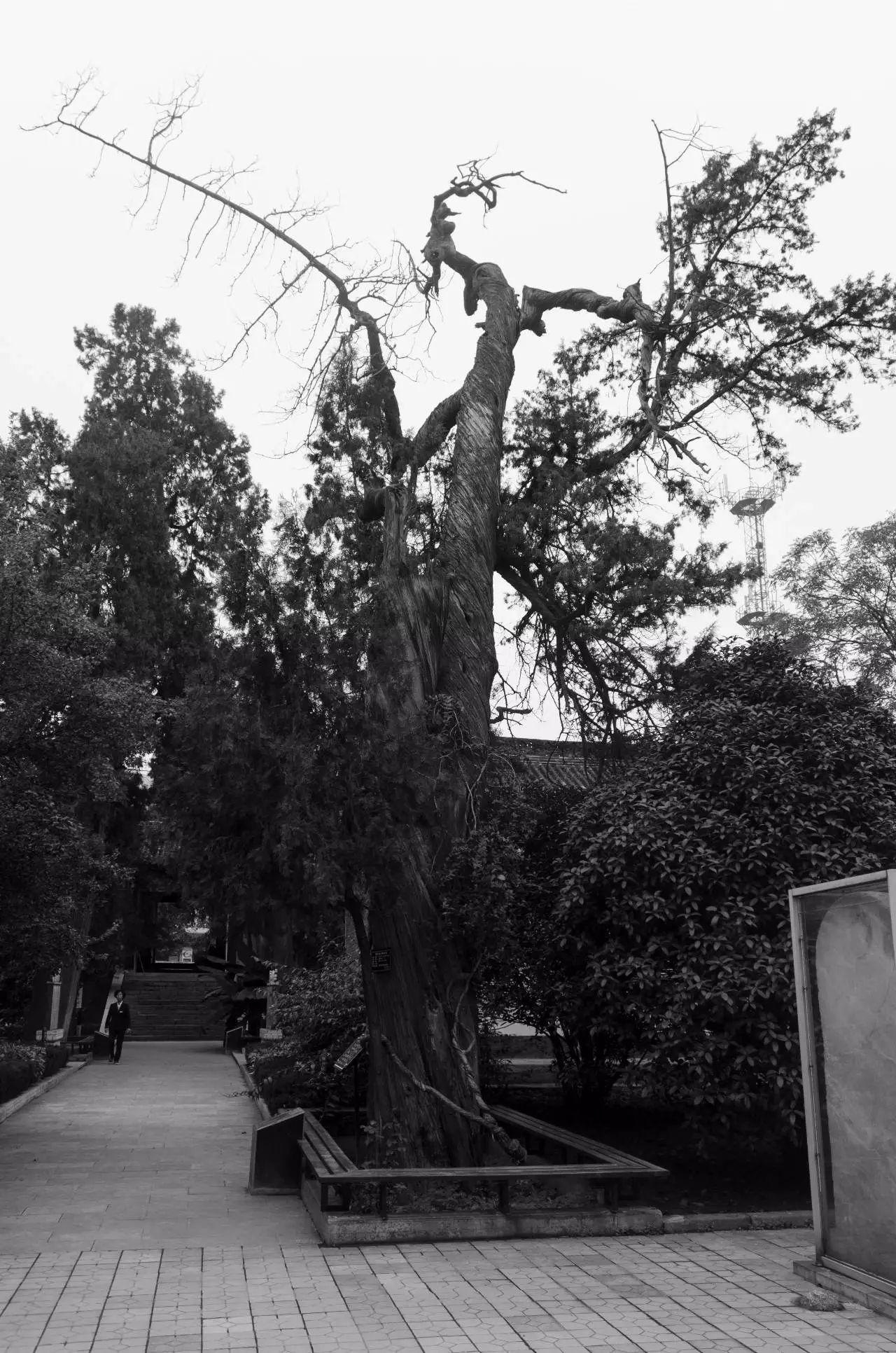 范仲淹简介及生平事迹_事迹生平范仲淹简介20字_事迹生平范仲淹简介50字