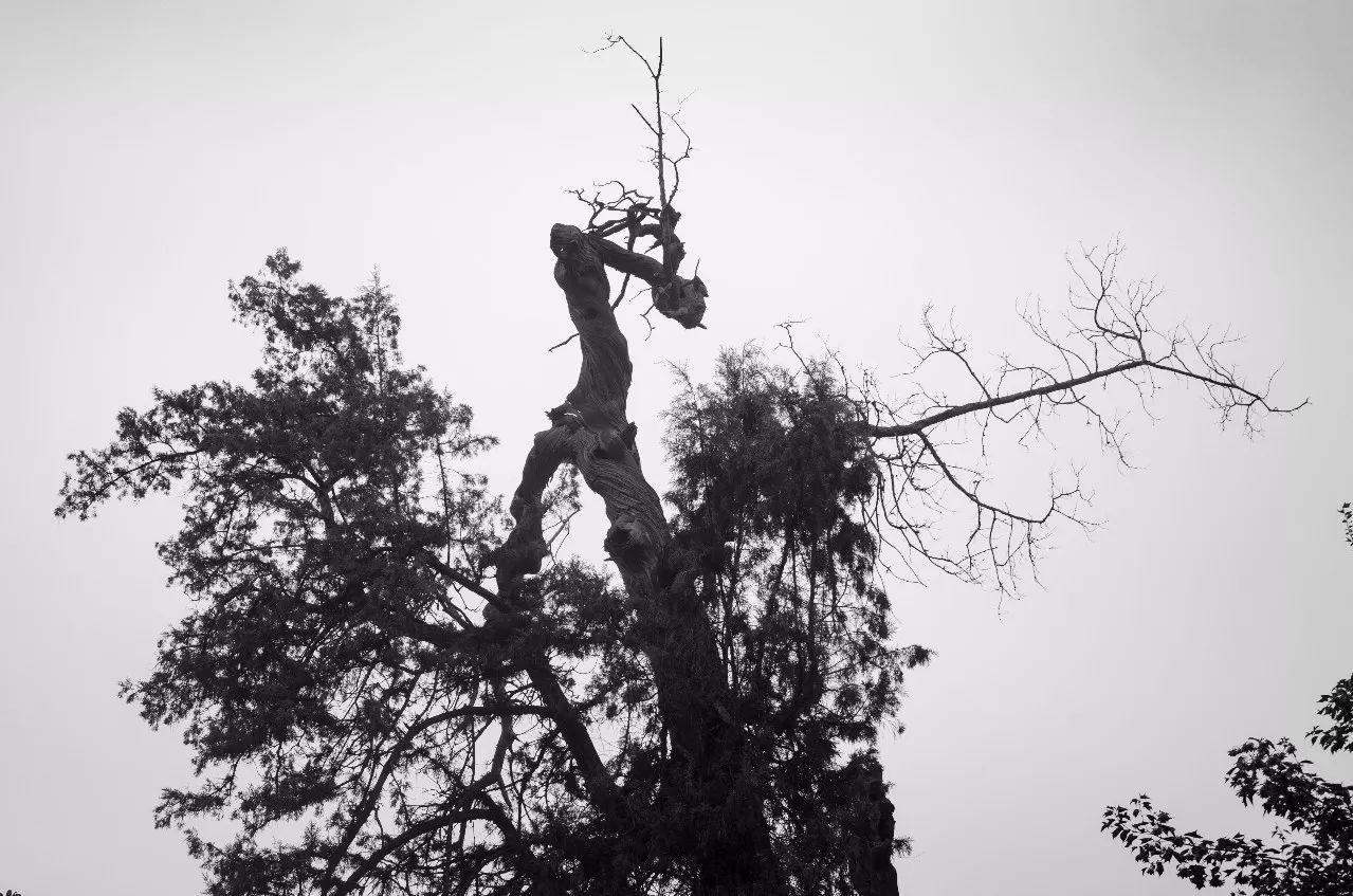 事迹生平范仲淹简介50字_范仲淹简介及生平事迹_事迹生平范仲淹简介20字