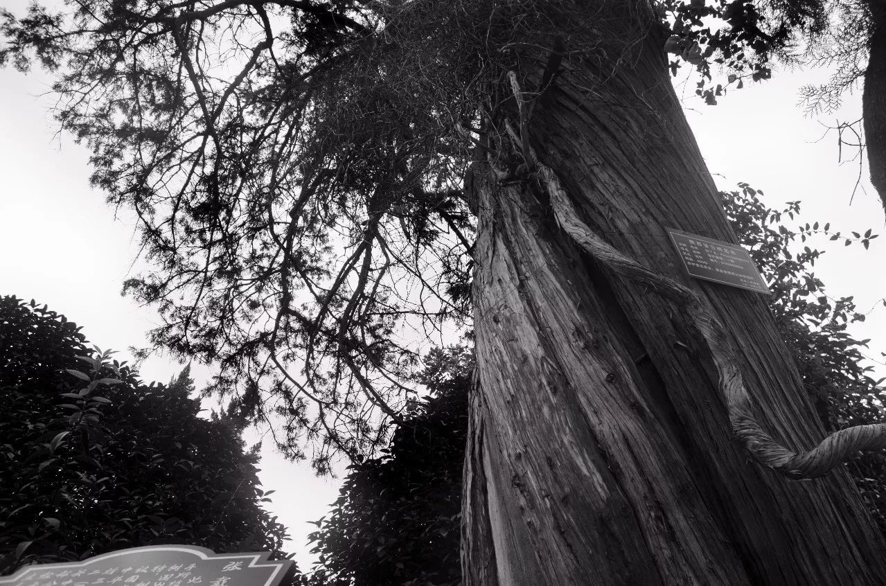 事迹生平范仲淹简介20字_范仲淹简介及生平事迹_事迹生平范仲淹简介50字