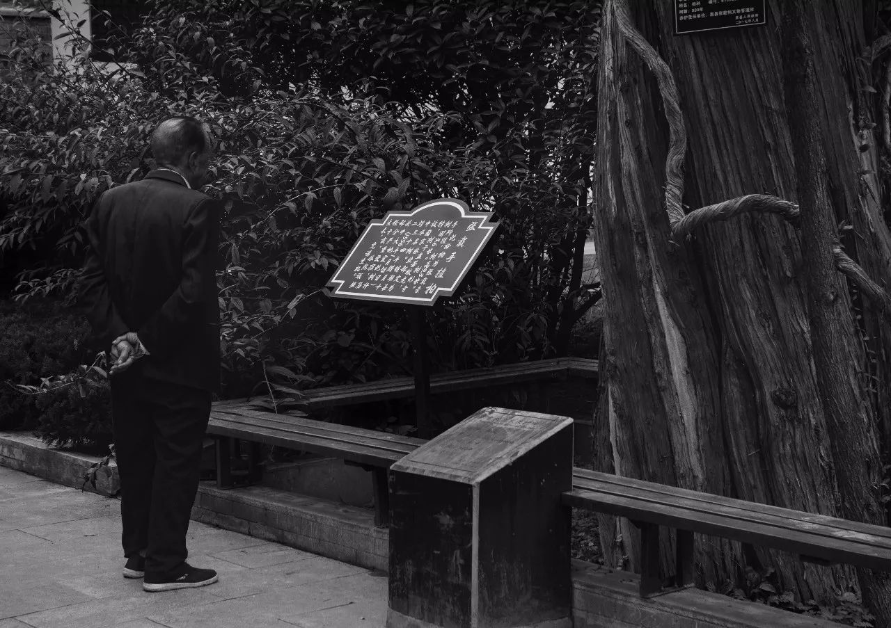 事迹生平范仲淹简介20字_范仲淹简介及生平事迹_事迹生平范仲淹简介50字