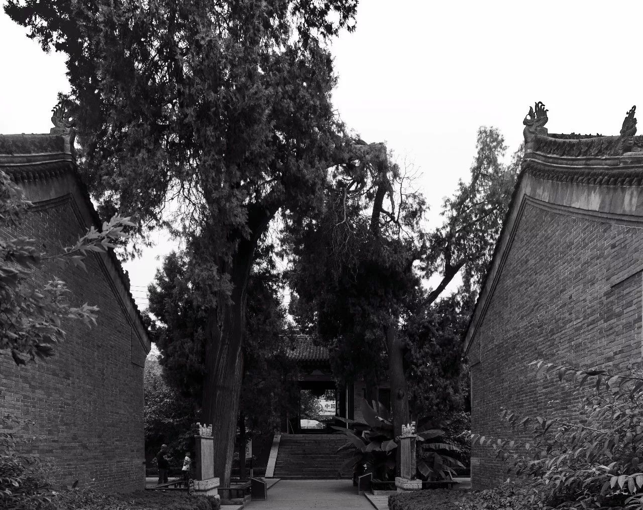 事迹生平范仲淹简介20字_范仲淹简介及生平事迹_事迹生平范仲淹简介50字