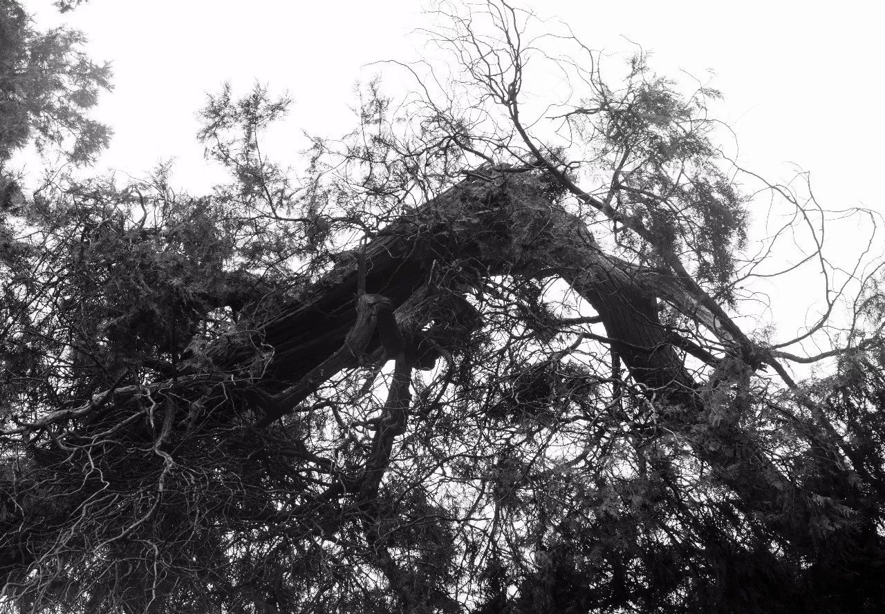 范仲淹简介及生平事迹_事迹生平范仲淹简介20字_事迹生平范仲淹简介50字