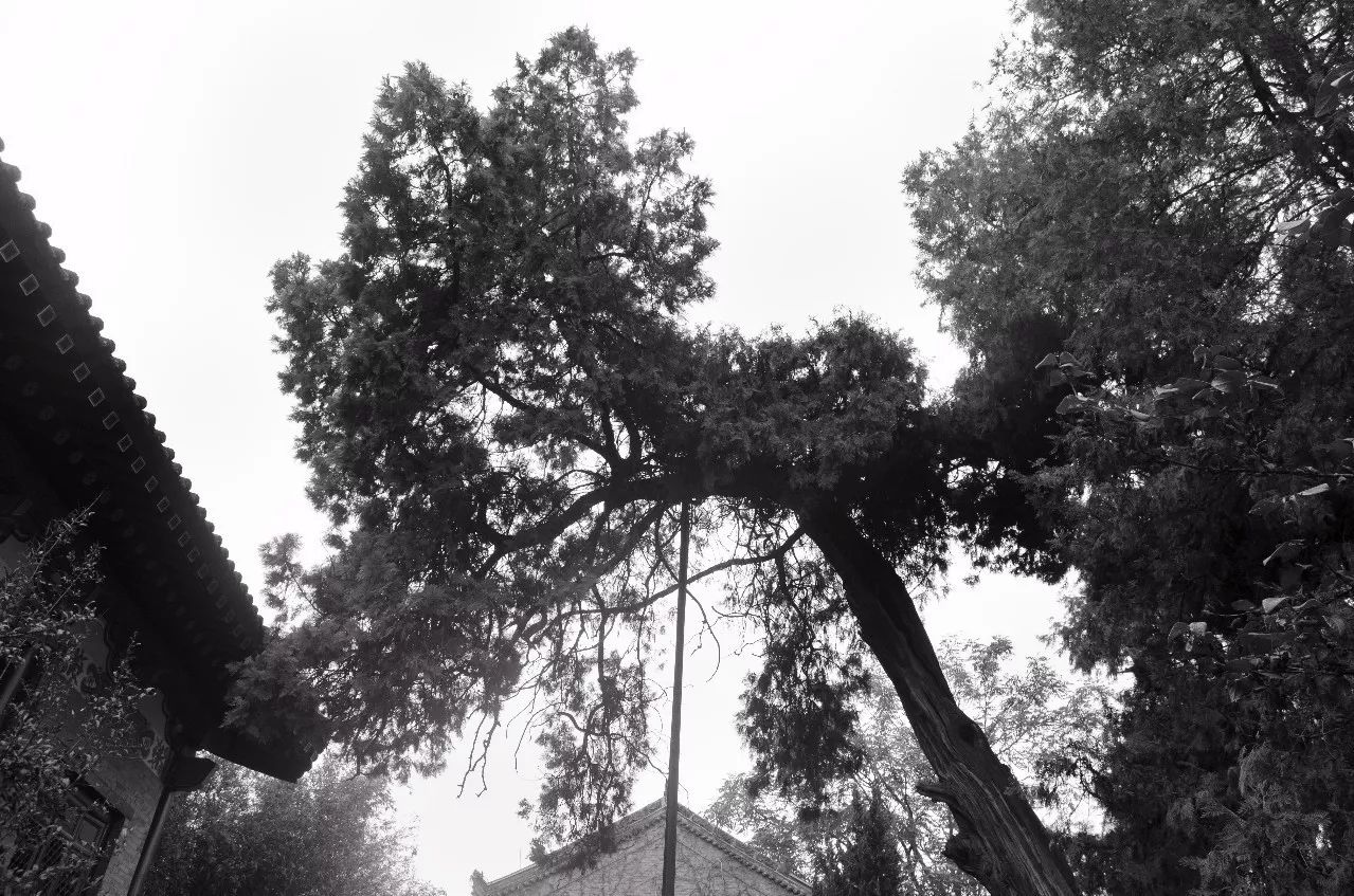 事迹生平范仲淹简介50字_范仲淹简介及生平事迹_事迹生平范仲淹简介20字