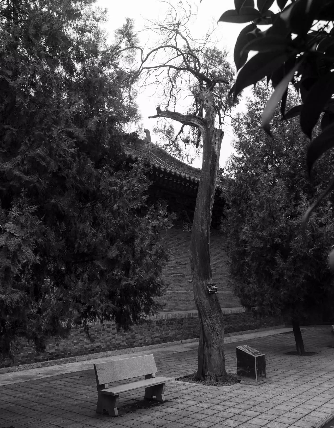 事迹生平范仲淹简介20字_事迹生平范仲淹简介50字_范仲淹简介及生平事迹