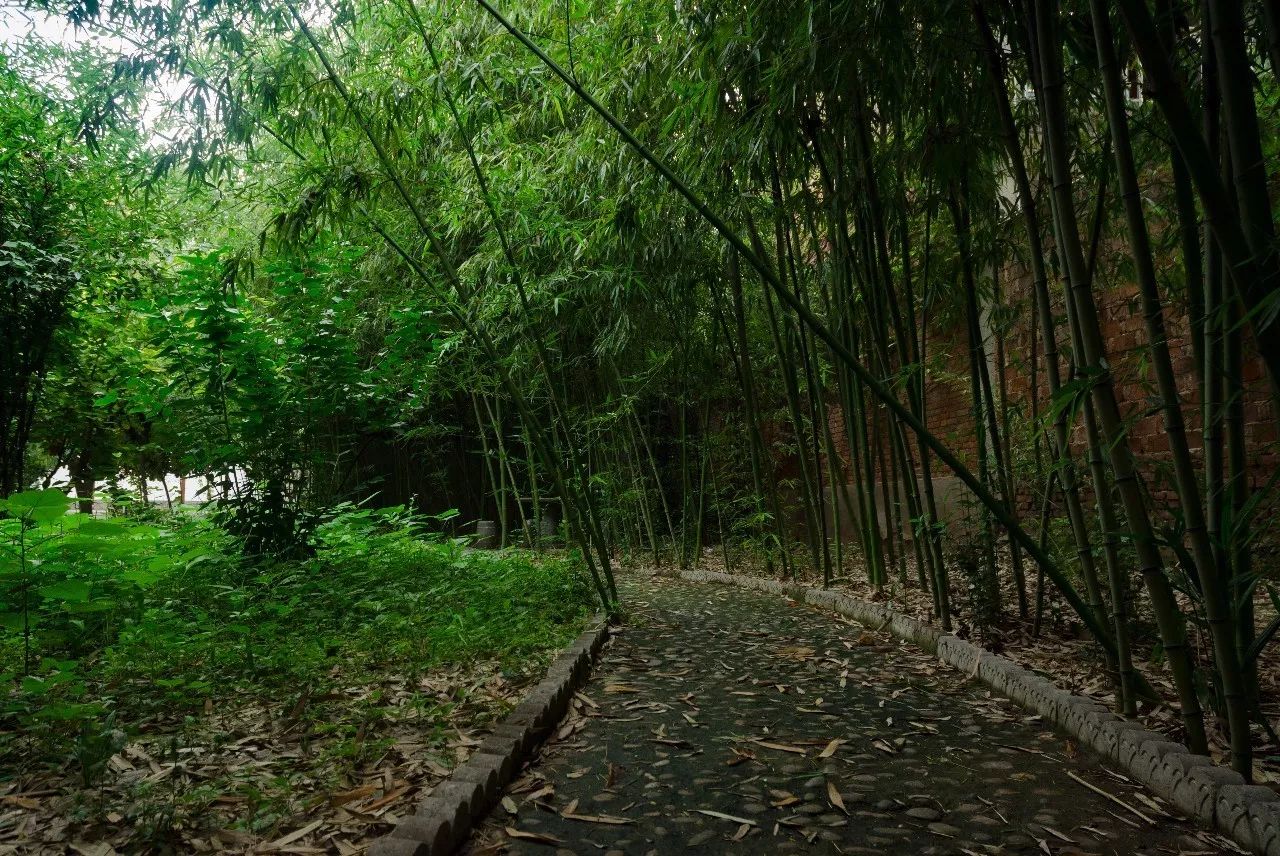 范仲淹简介及生平事迹_事迹生平范仲淹简介20字_事迹生平范仲淹简介50字