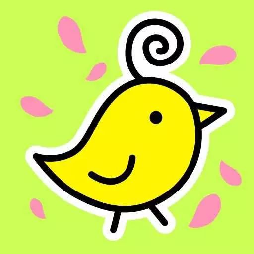 鹦鹉的寿命_寿命久的鹦鹉_最长寿鹦鹉寿命