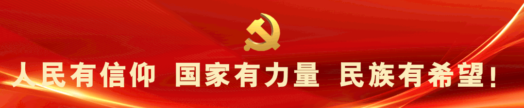 从严治党两个责任_从严治党政治责任_从严治党责任清单
