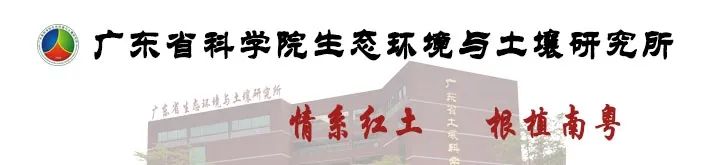 研究团队揭示海水入侵导致稻田镉活化的土-水界面反应机制