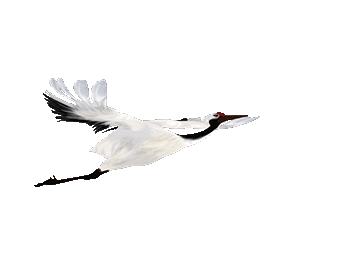 北魏时期_北魏时期大赵首领万俟丑奴年号_北魏时期是什么时候