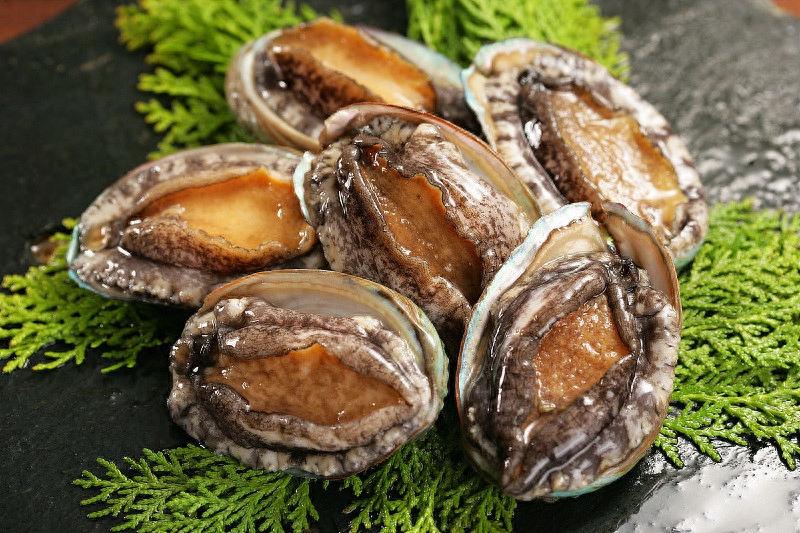 大连5头干鲍鱼价格_极品鲍鱼多少头_几头鲍鱼代表什么意思