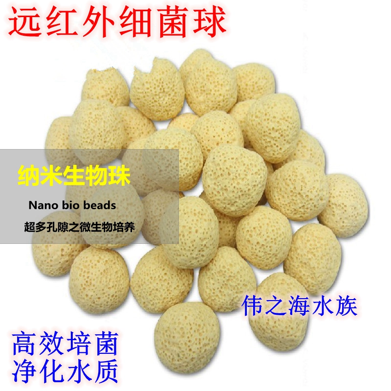 水族箱的过滤系统是什么？硝化系统和物理过滤是什么关系？