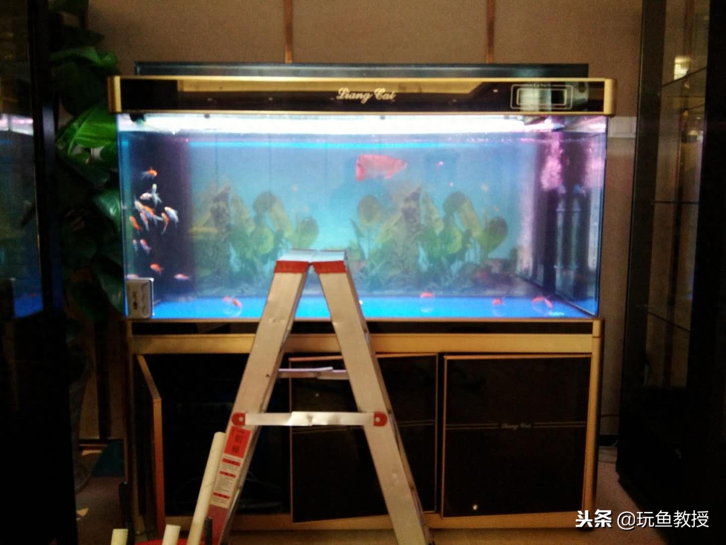 硝化系统的原理_硝化系统_硝化系统怎么建立