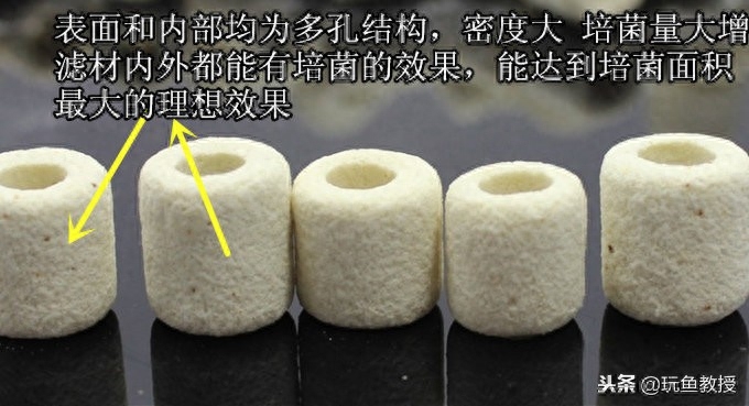 硝化系统怎么建立_硝化系统_硝化系统的原理