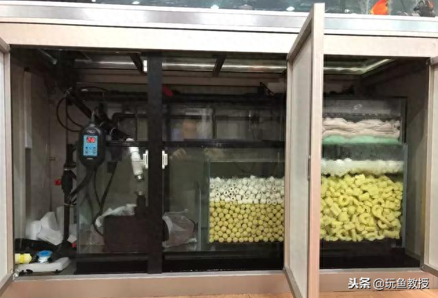 硝化系统的原理_硝化系统怎么建立_硝化系统