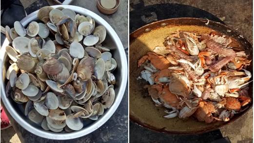 山东看海_山东海看网络科技有限公司_山东海看iptv官网