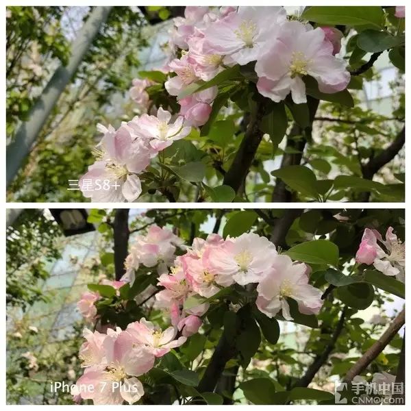 参数苹果7_苹果7p参数_丁达尔效应调色参数苹果