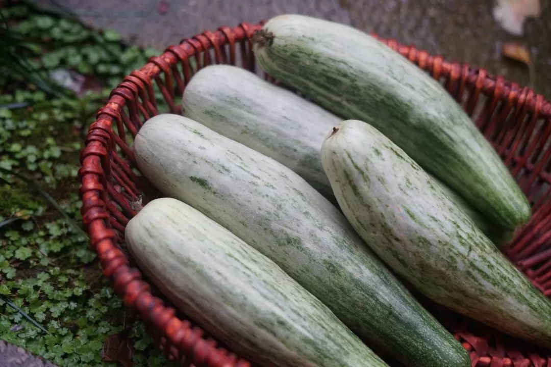 羊角蜜的籽能当种子吗_羊角蜜的皮和籽能吃吗_羊角蜜皮子可以吃吗