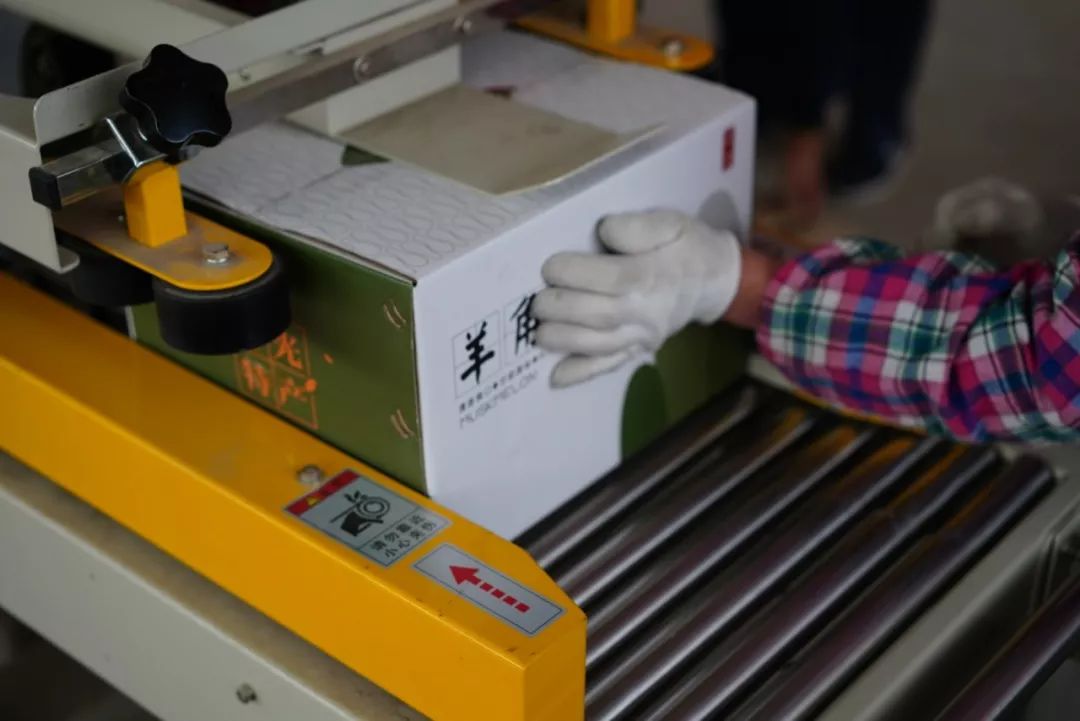 羊角蜜的皮和籽能吃吗_羊角蜜的籽能当种子吗_羊角蜜皮子可以吃吗