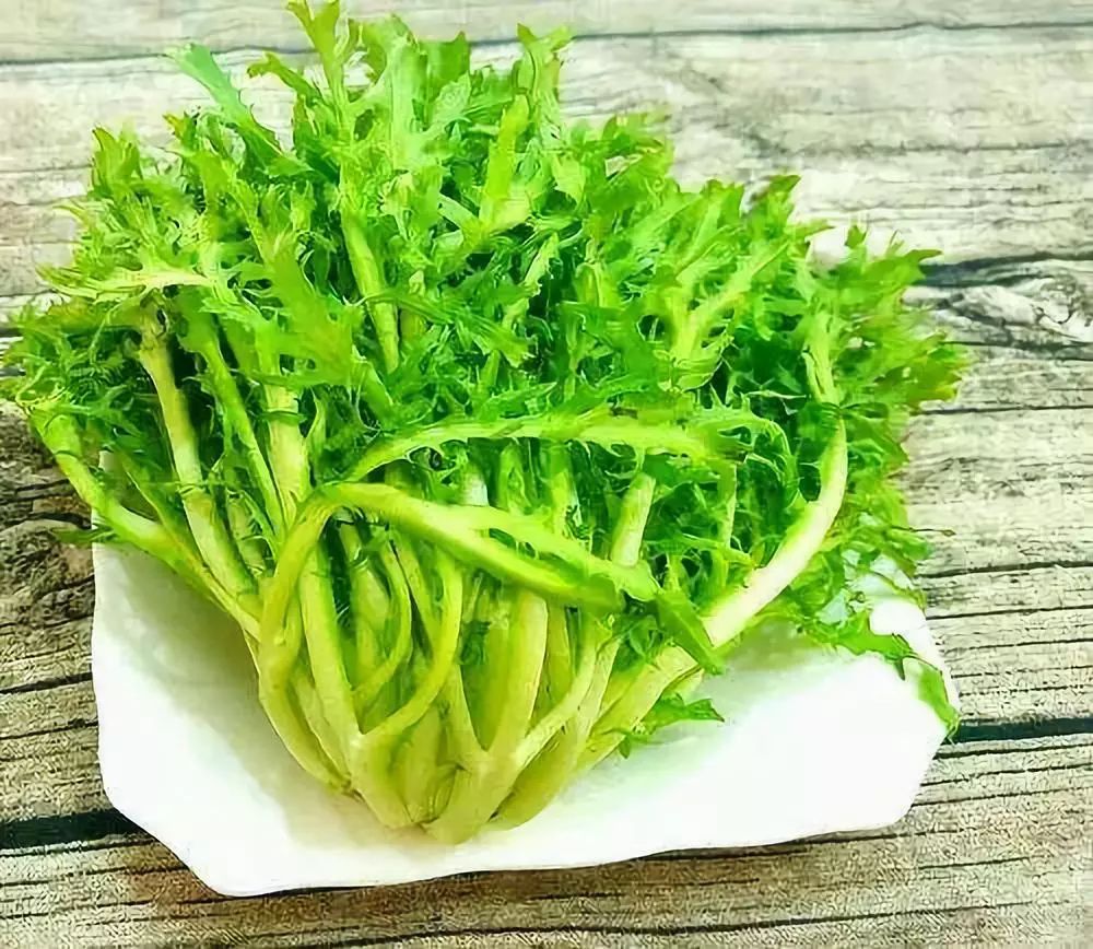 苦菊可以生吃吗-春天百货 | “苦菊”虽苦,可好处却真不少,清热去火,没事的时候要多吃点哦~