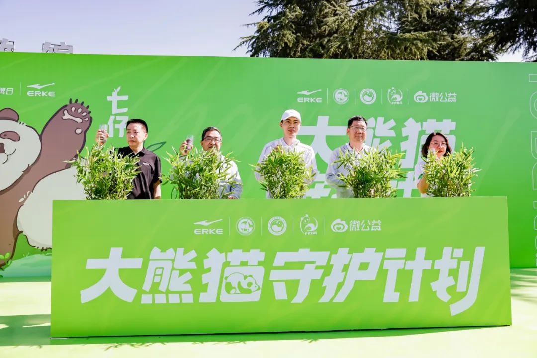 大熊猫栖息环境_大熊猫栖息地环境_熊猫栖息环境资料