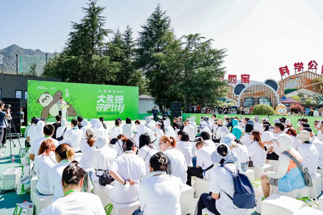 熊猫栖息环境资料_大熊猫栖息地环境_大熊猫栖息环境