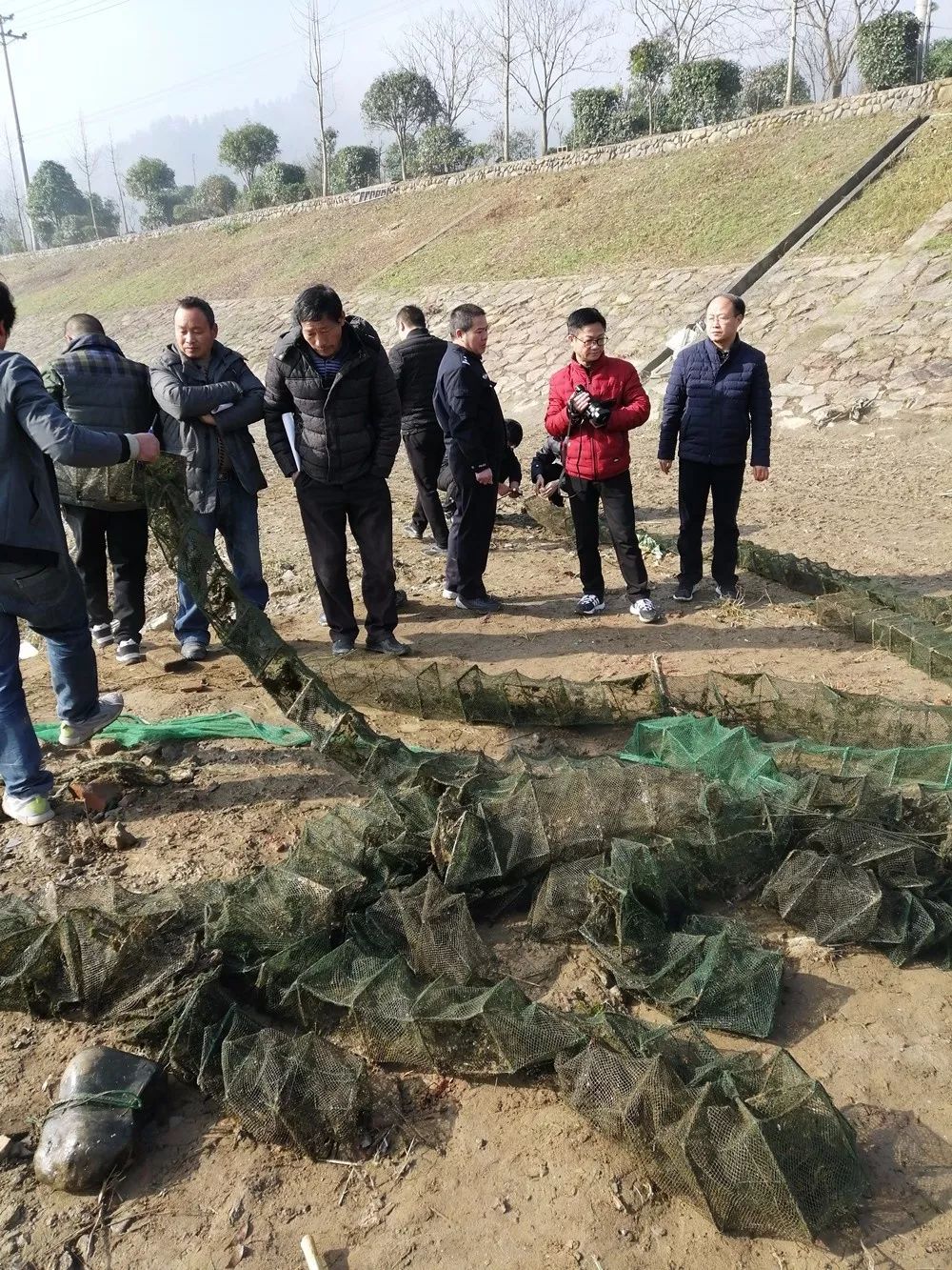 熊猫栖息环境资料_大熊猫栖息地环境_大熊猫栖息环境