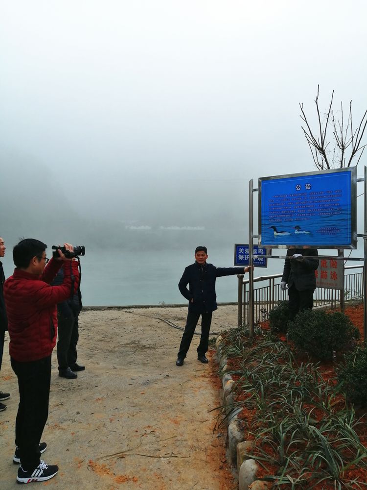 大熊猫栖息地环境_熊猫栖息环境资料_大熊猫栖息环境