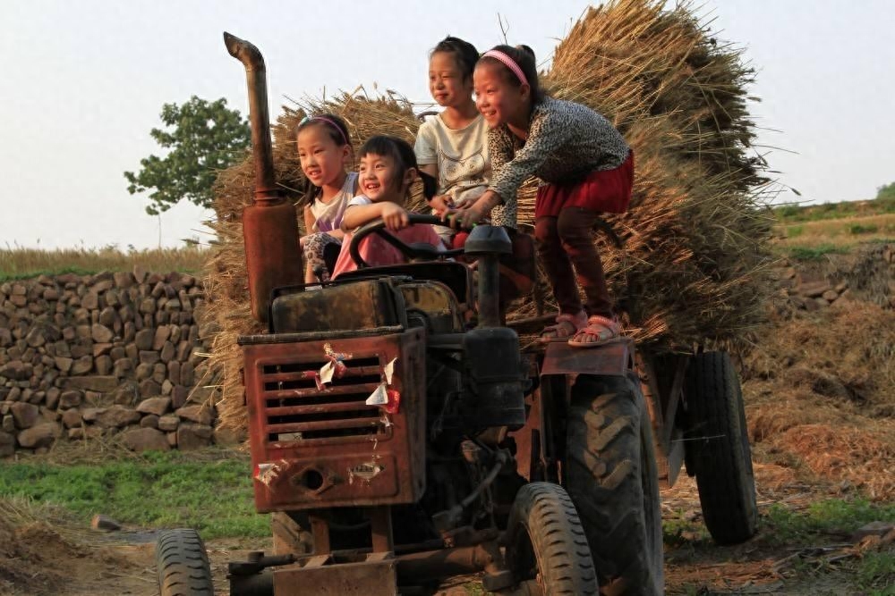 汗滴禾下土的全诗_汗霜叶红于二月花全诗_终须一个土馒头全诗