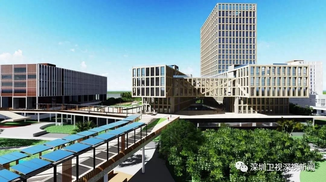 技术大学是一本还是二本_技术大学是干什么的_深技大是什么大学