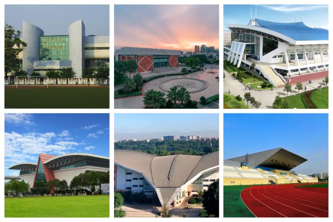 排球场地标准尺寸-大运有我①|市建筑院助力成都大运会排球场馆升级焕新