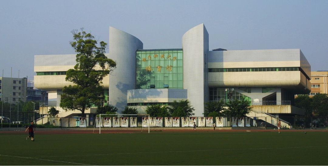 排球场地标准尺寸_场地排球尺寸标准图片_标准的排球场地尺寸