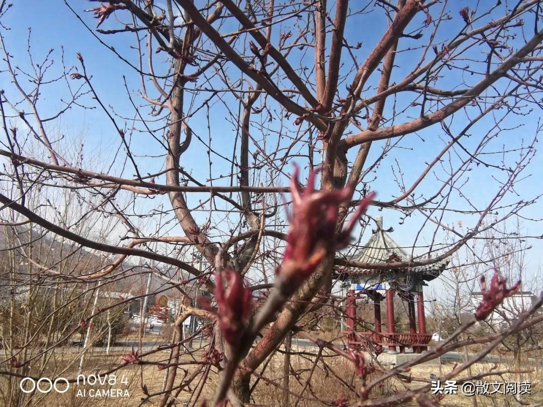 春雨惊春清谷天后半句_春雨惊春清谷天惊指什么_春雨惊春清谷天