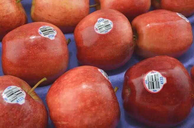 水果恐龙蛋是啥_水果恐龙蛋好吃吗_恐龙蛋水果