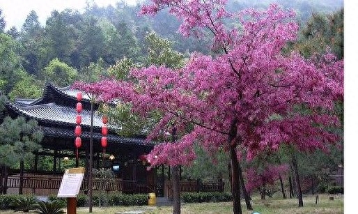 肇庆特产-肇庆怀集旅游攻略：怀集好玩的地方有哪些？