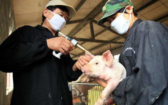 猫瘟潜伏期-猫瘟战记：零之曙光