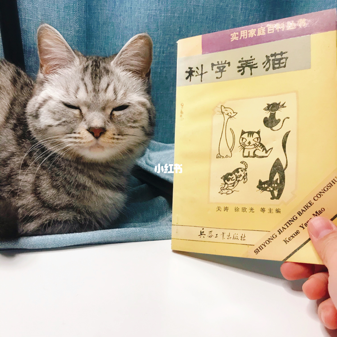 猫瘟潜伏期-猫瘟战记：科学与经验