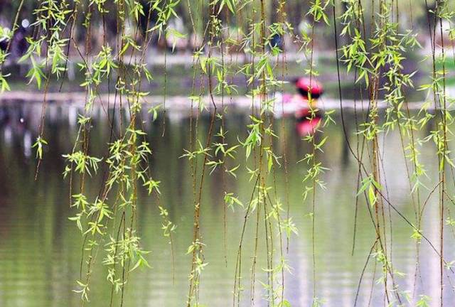 江苏快三怎么玩-五一小长假江苏哪里最好玩？快带上这份出游宝典！