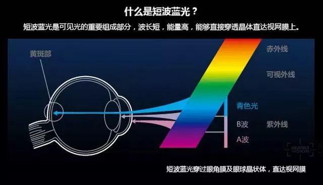 污染环境危害_光污染的危害_污染危害严重的影响因素